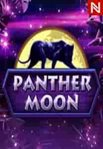 Panther Moon